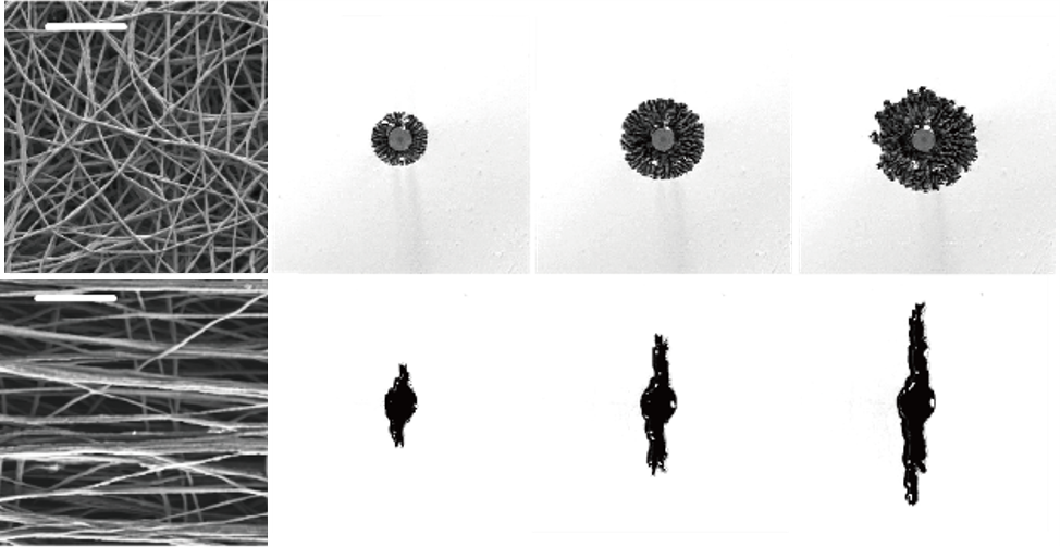 Structure-driven fluid motion